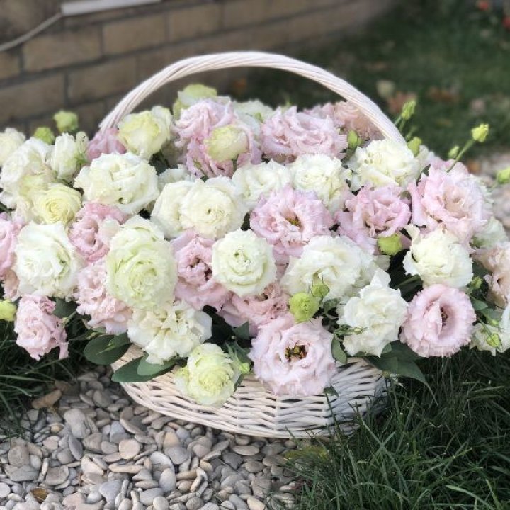 Корзина с эустомой в Астрахани