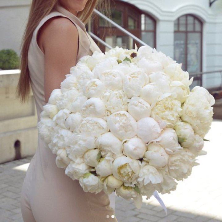 51 белый пион в Астрахани