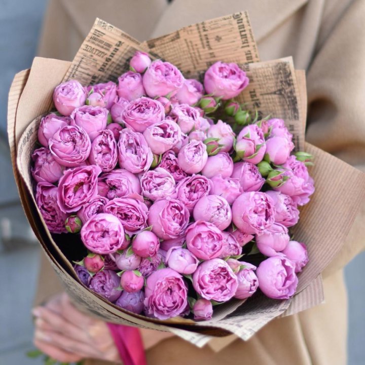 Роза Мисти Баблс в Астрахани