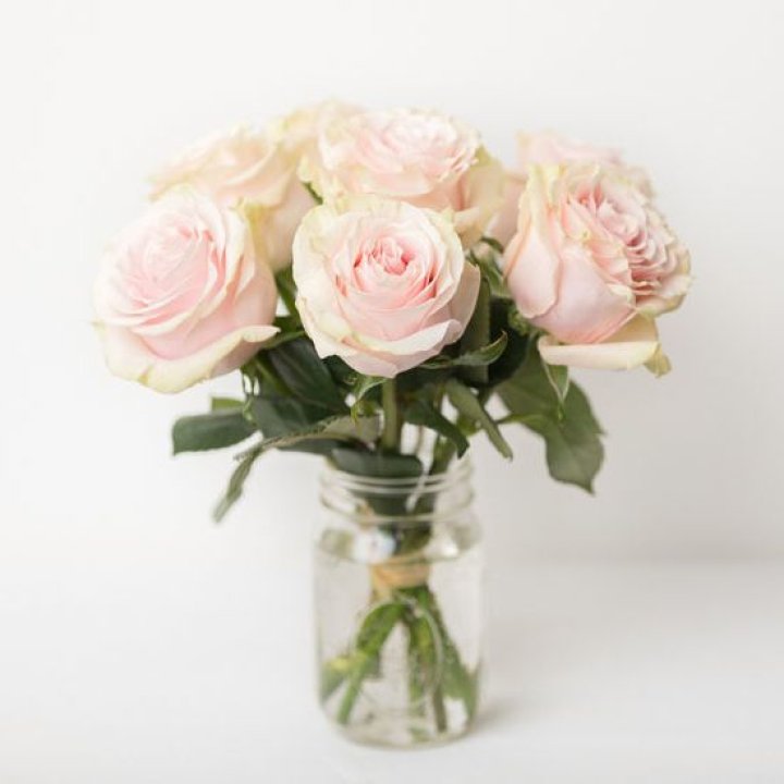 7 кремовых роз в Астрахани