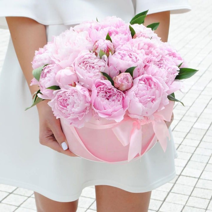 Пионы в шляпной коробке в Астрахани