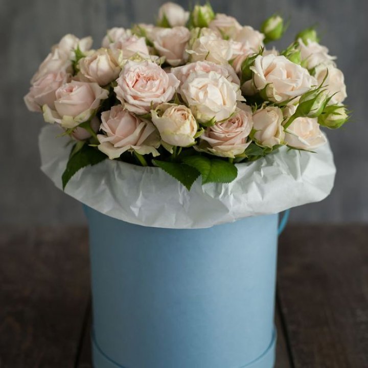 Бокс с бомбастиком в Астрахани