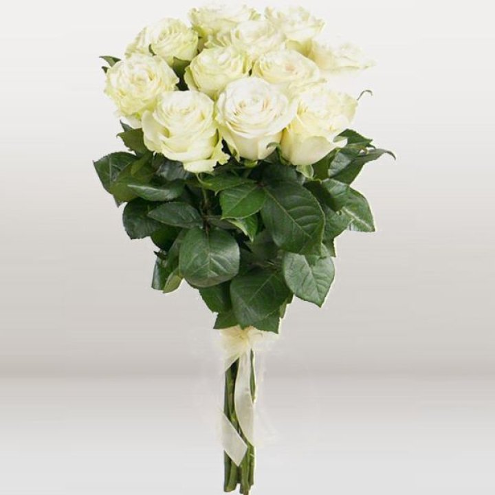 11 белых голландских роз в Астрахани