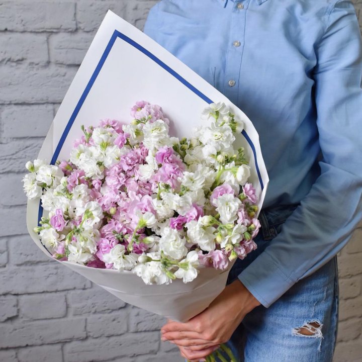 Маттиола в Астрахани