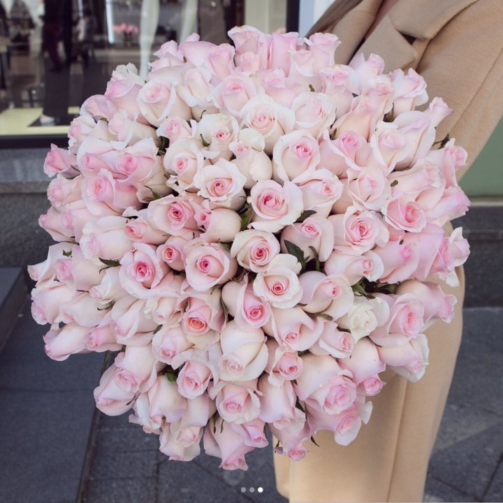 Розы "Пинк бум" в Астрахани