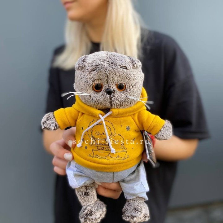 Кот Басик в худи в Астрахани