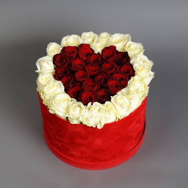 39 красных и белых роз в цилиндре в Астрахани