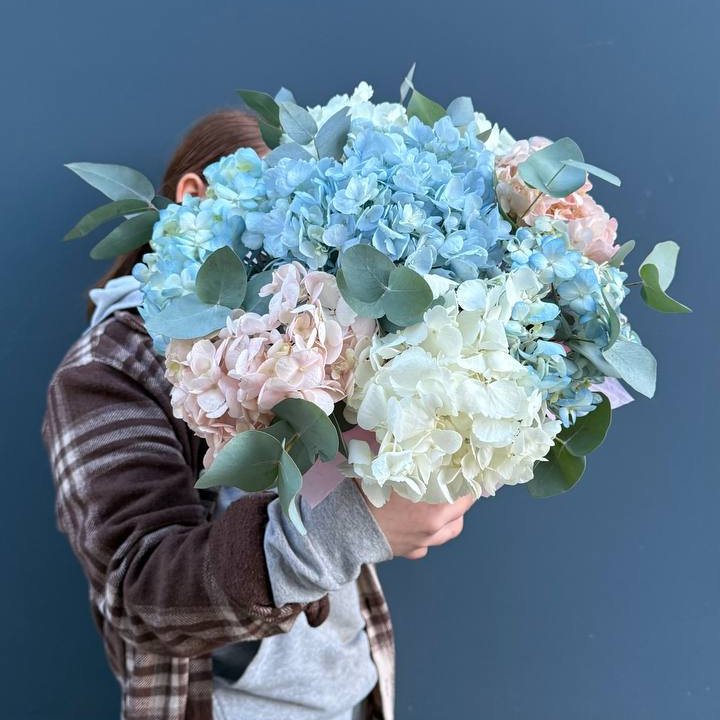 Гортензии в коробочке в Астрахани