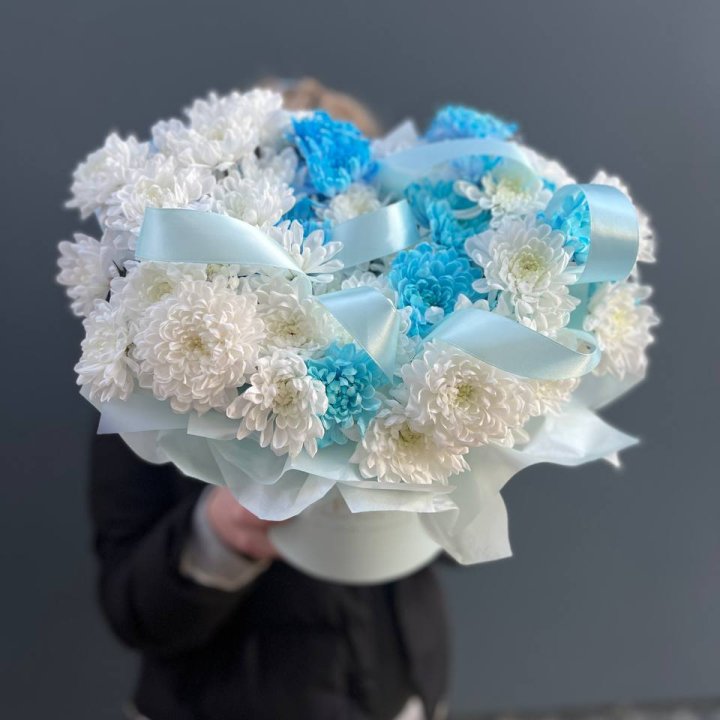 Хризнтемы в боксе в Астрахани