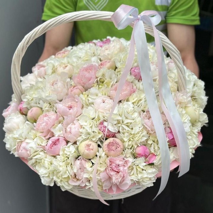 Премиум корзина гортензий и пионов в Астрахани