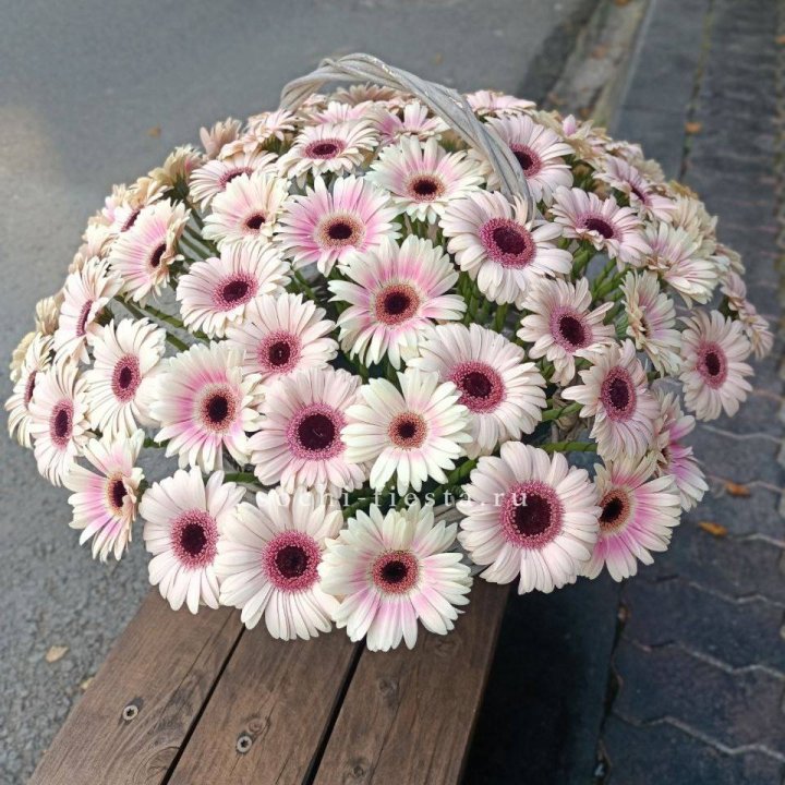 Корзина с герберами  в Астрахани