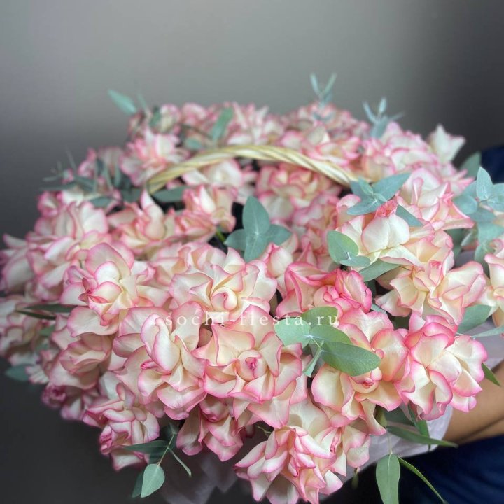 51 джумилия  в корзине   в Астрахани