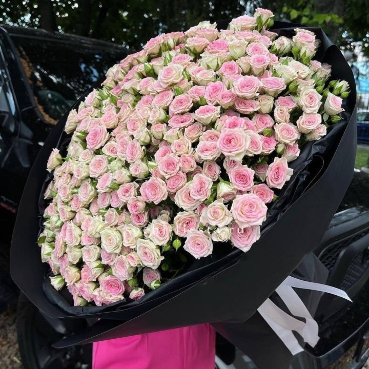 101 кустовая роза "Твистер" в Астрахани