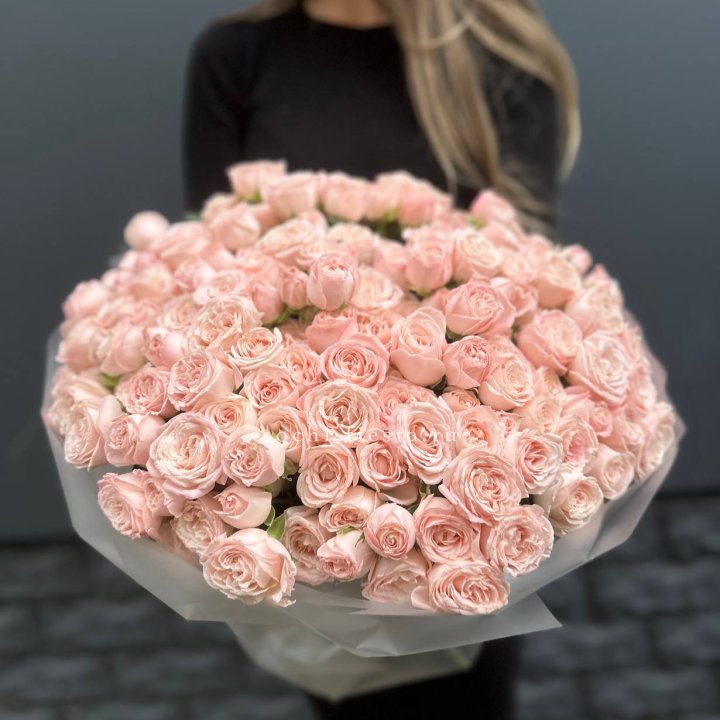 51 кустовая роза Бомбастик в Астрахани