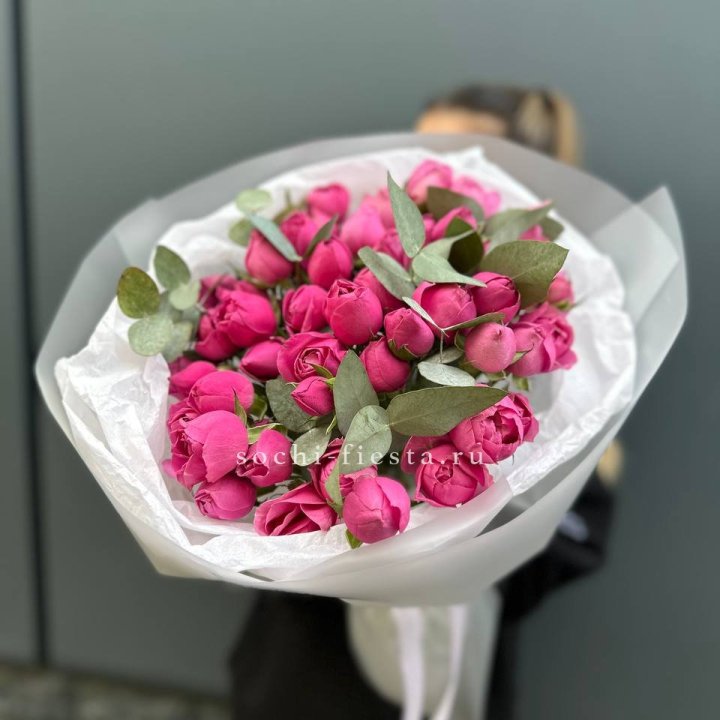 17 Мисти бабблс в Астрахани