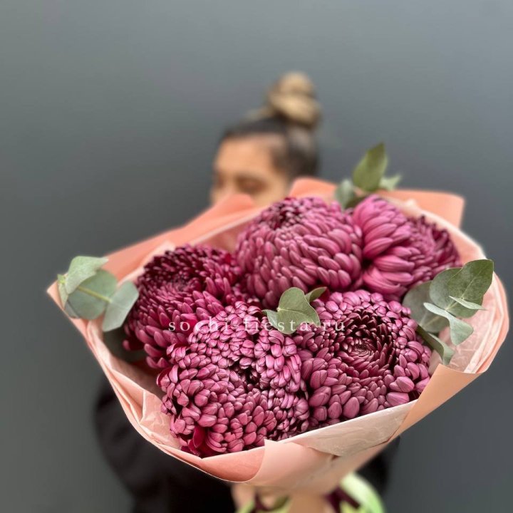 Хризантемы  Бигуди  в Астрахани