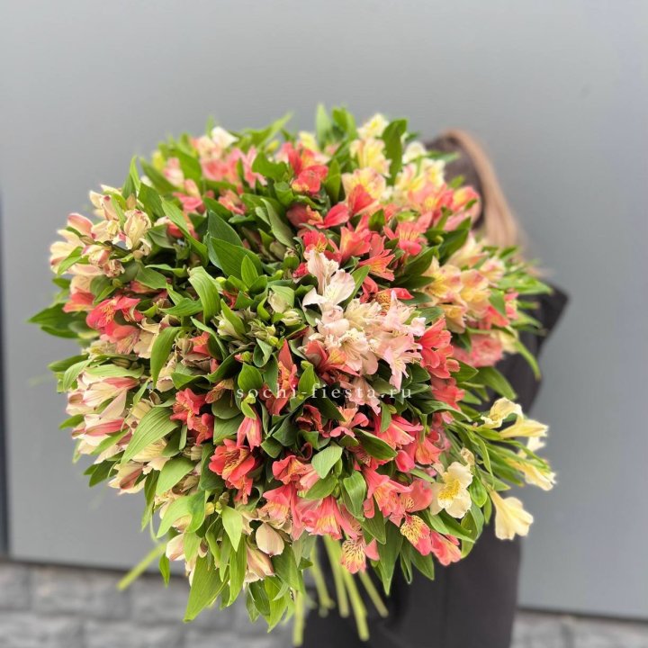 51 альстромерия в Астрахани