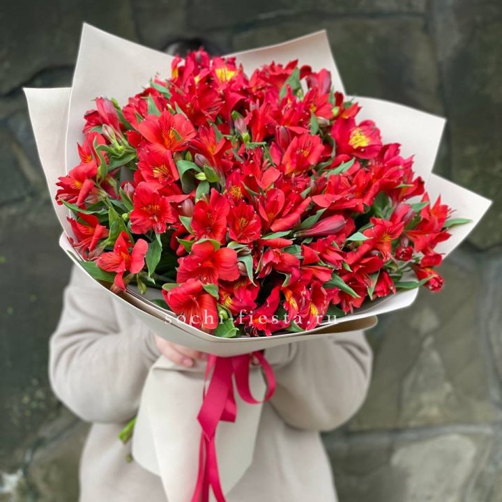 51 альстромерия в Астрахани