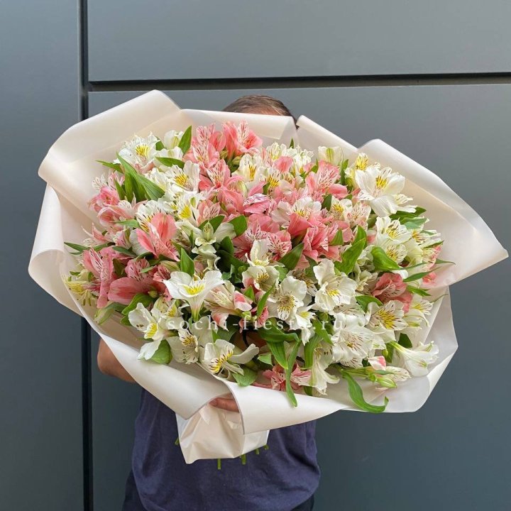 39 альстромерий в Астрахани