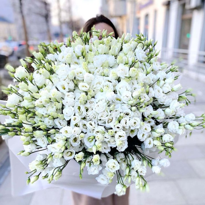 101 белая эустома в Астрахани