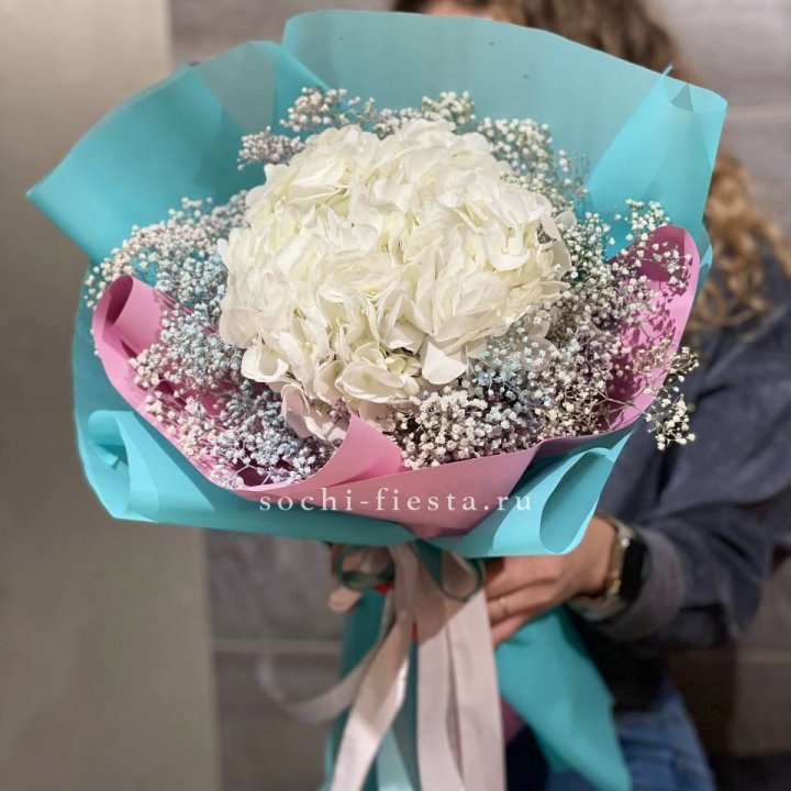 Гортензия "Райдов" в Астрахани