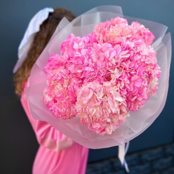 7 ярко розовых гортензий в Астрахани