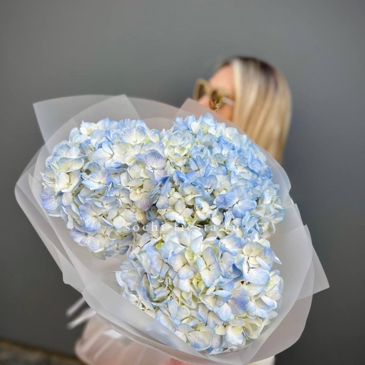 Букет из 3 голубых гортензий  в Астрахани