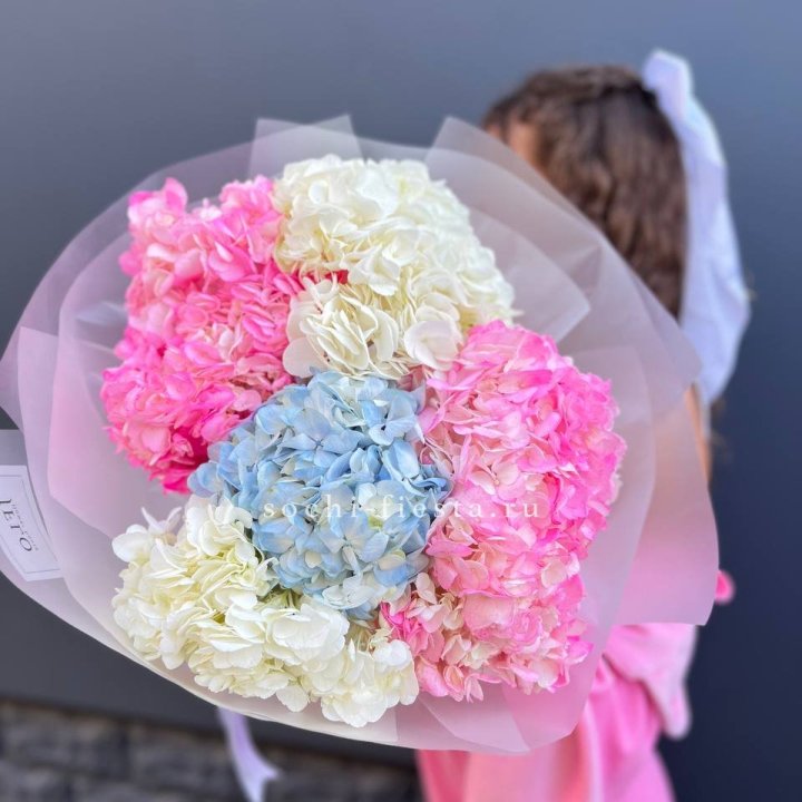 7 гортензий микс в Астрахани