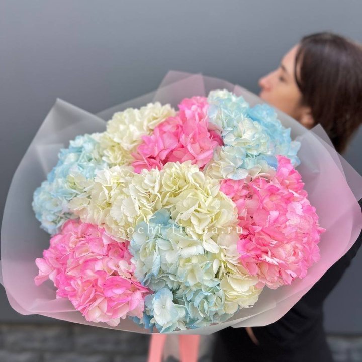 9 гортензий микс в Астрахани