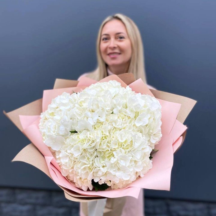 Гортензия белая в Астрахани