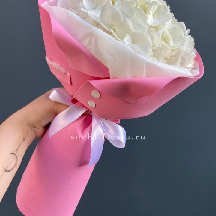 Гортензия в розовом пиджаке в Астрахани