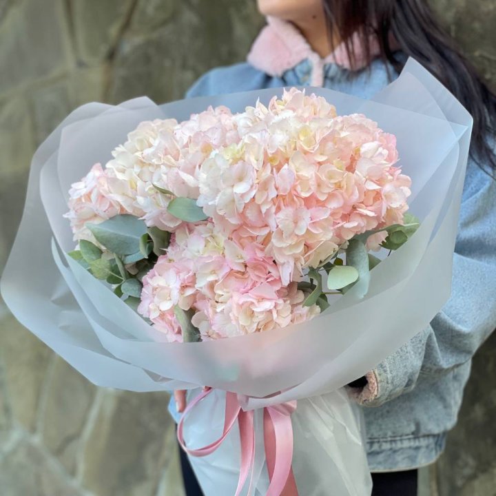 5 розовых гортензий в Астрахани