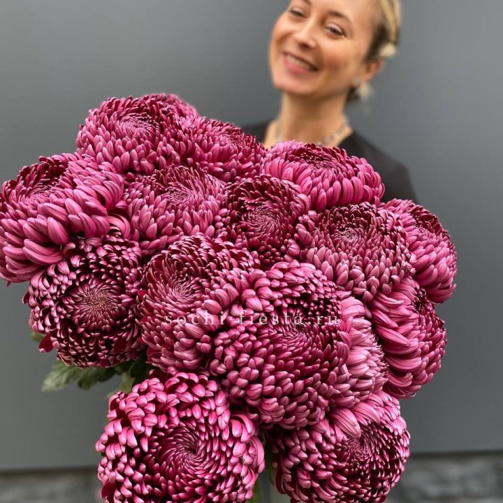 Охапка хризантем Бигуди в Астрахани