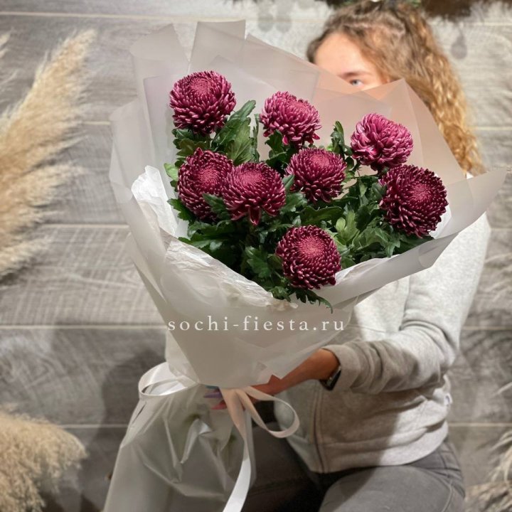 Хризантемы Бигуди в Астрахани