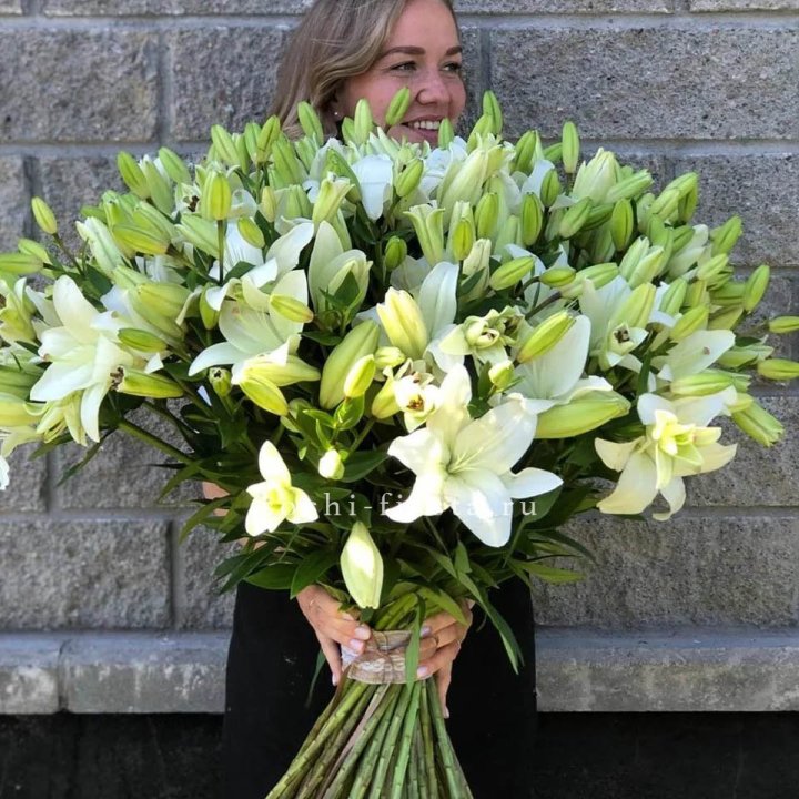 51 лилия в Астрахани