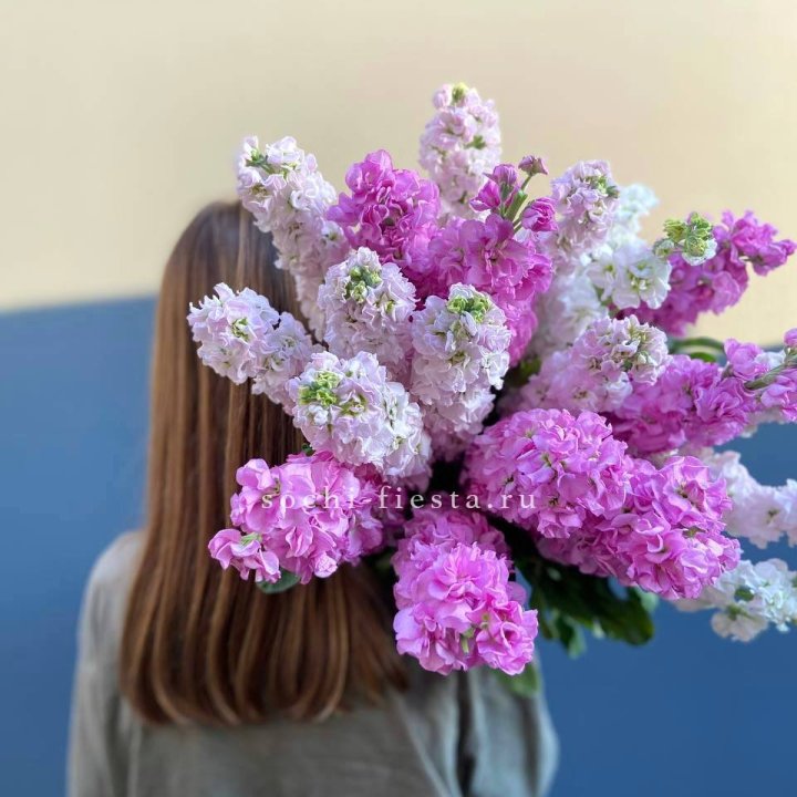 Охапка маттиолы в Астрахани