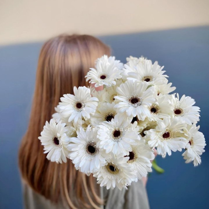 Охапка гербер в Астрахани