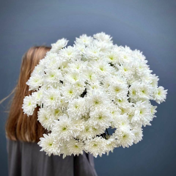 Охапка Хризантемы кустовой в Астрахани