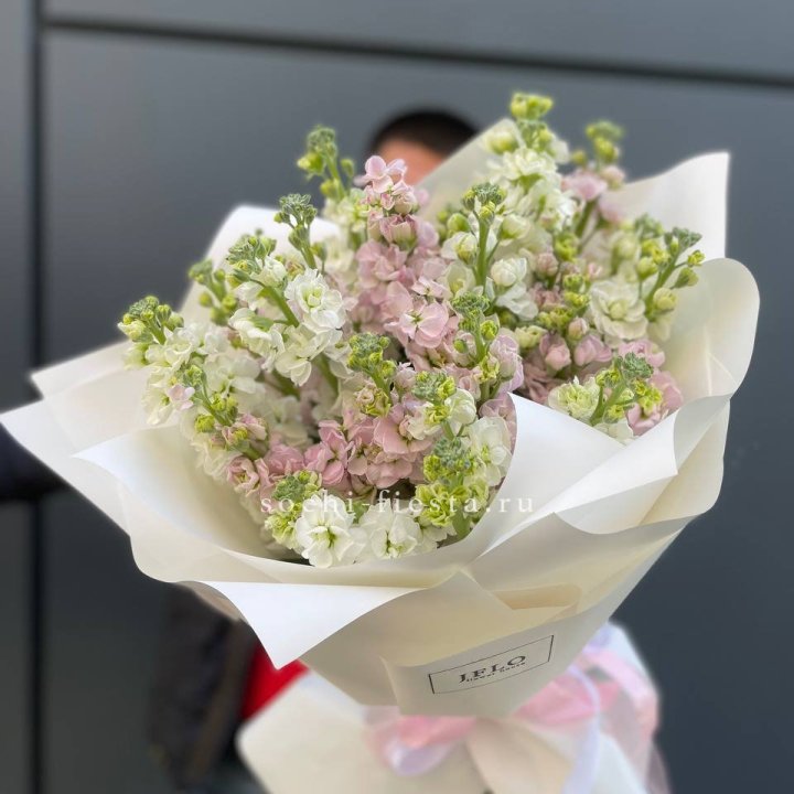 29 маттиол  в Астрахани