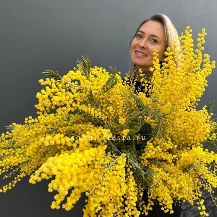 Охапка мимозы №2 в Астрахани