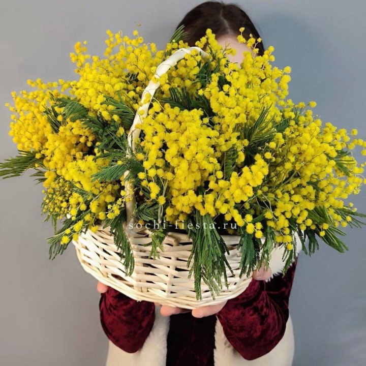 Корзина ароматной мимозы в Астрахани