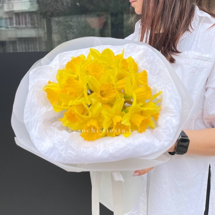 Нарциссы 25 шт в Астрахани