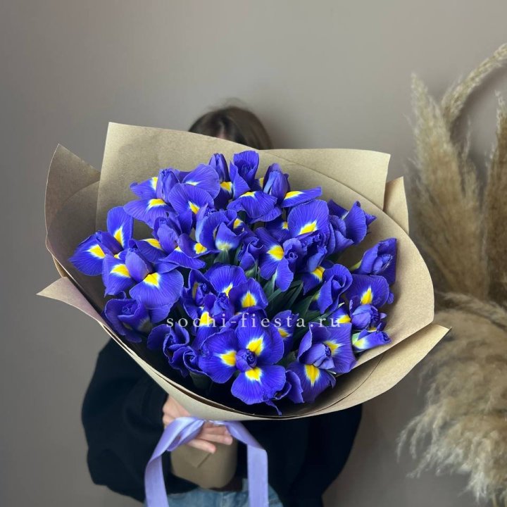 Ирисы в Астрахани
