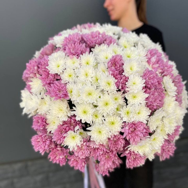  Букет 25 хризантем микс в Астрахани