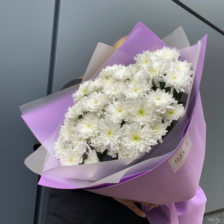  7 хризантем  в Астрахани