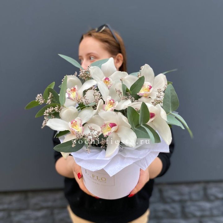 7 орхидей в боксе в Астрахани