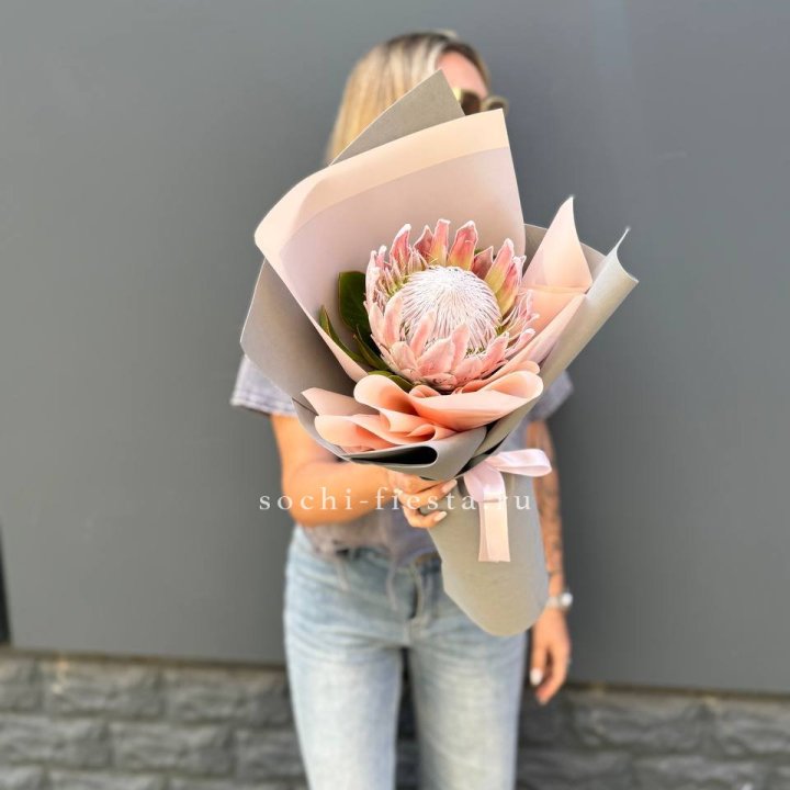 Протея мини  в Астрахани