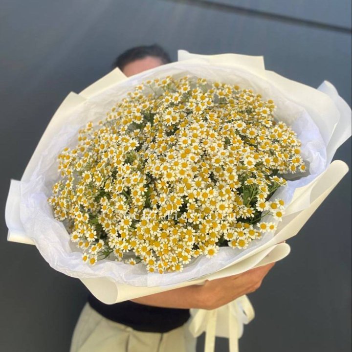 Букет ромашек №2 в Астрахани
