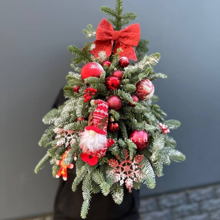 Новогодняя елочка "Ред" в Астрахани