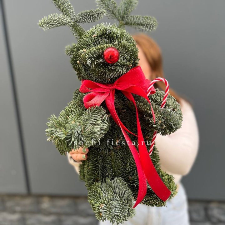 "Олень" из нобилиса в Астрахани